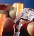 SUCRE POMMES.jpg