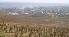 Vignoble Givry.jpg