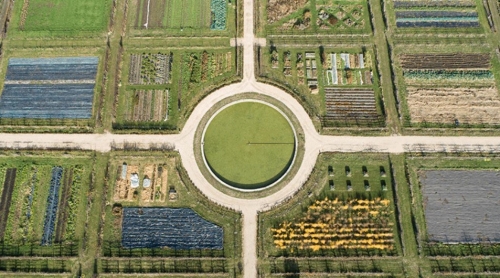 potager de versailles 02.jpg